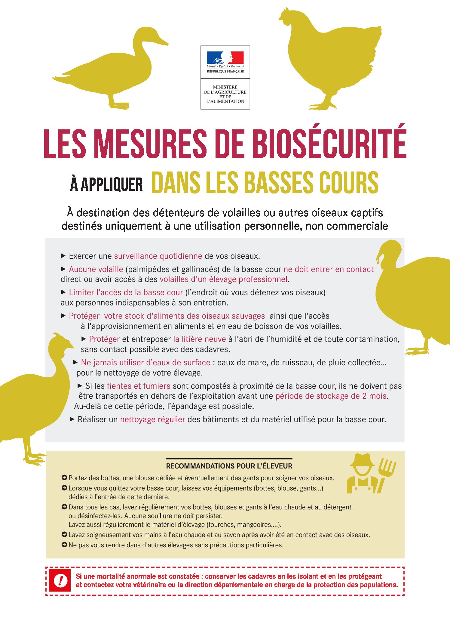 Mesures de Biosécurité à appliquer dans les basses cours